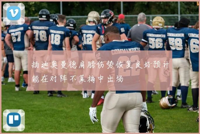 扬迪奥曼德肩膀伤势恢复良好预计能在对阵不莱梅中出场